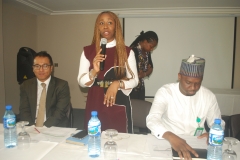 Lolade Abiola Adressses Roundtable